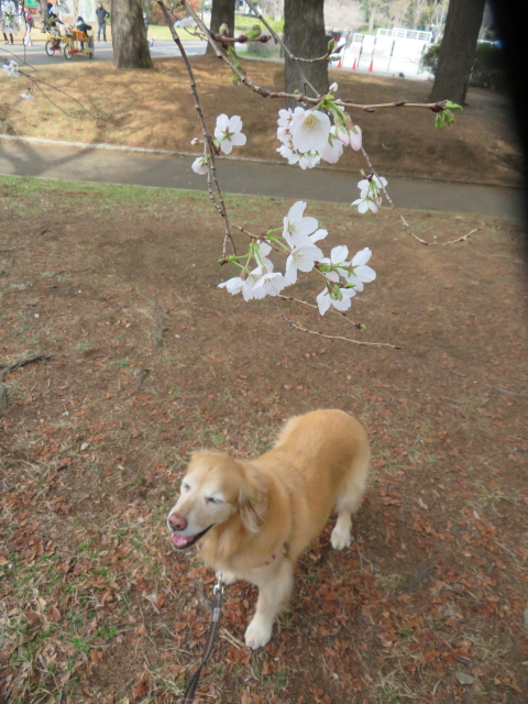 ファイル 9057-2.jpg