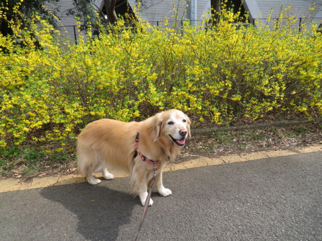 ファイル 9057-3.jpg