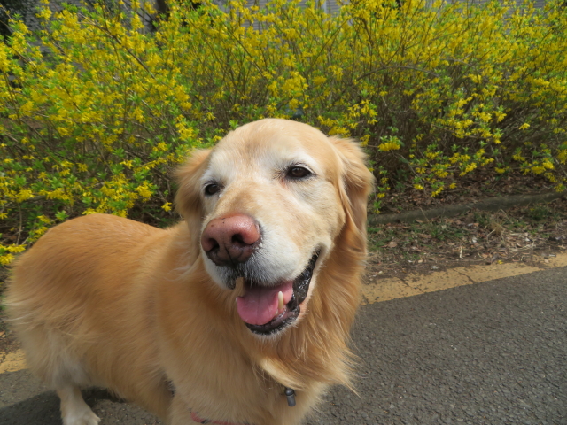 ファイル 9057-4.jpg