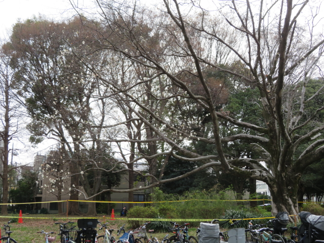 ファイル 9057-5.jpg