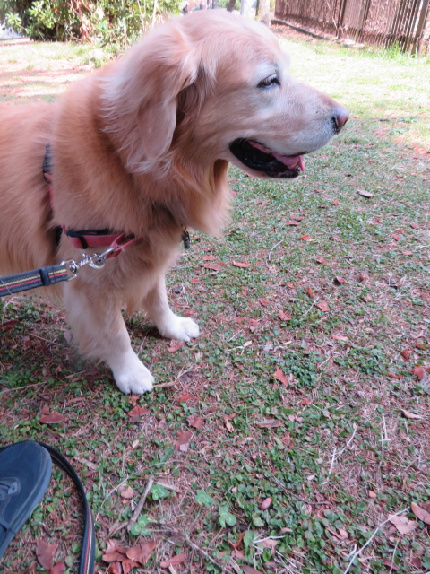 ファイル 9060-1.jpg