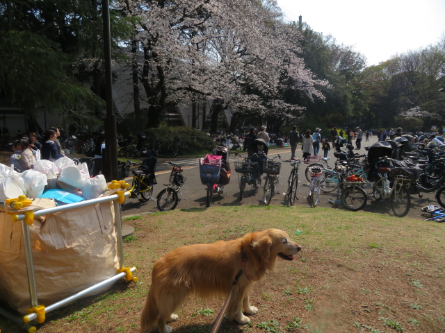 ファイル 9061-1.jpg