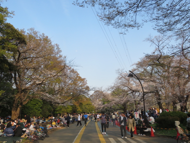 ファイル 9062-4.jpg