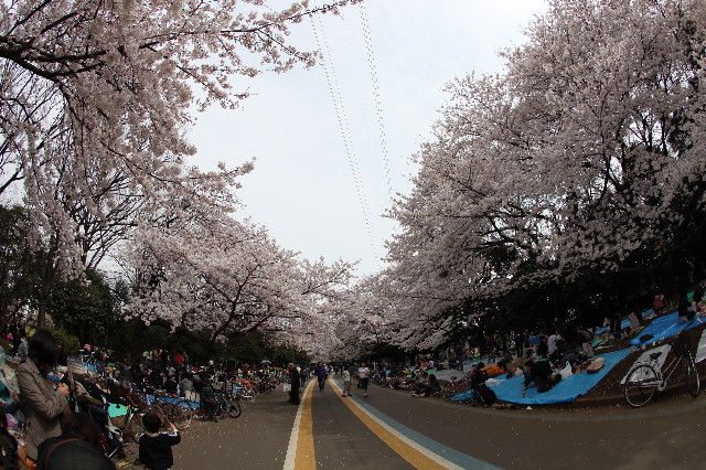 ファイル 9062-5.jpg