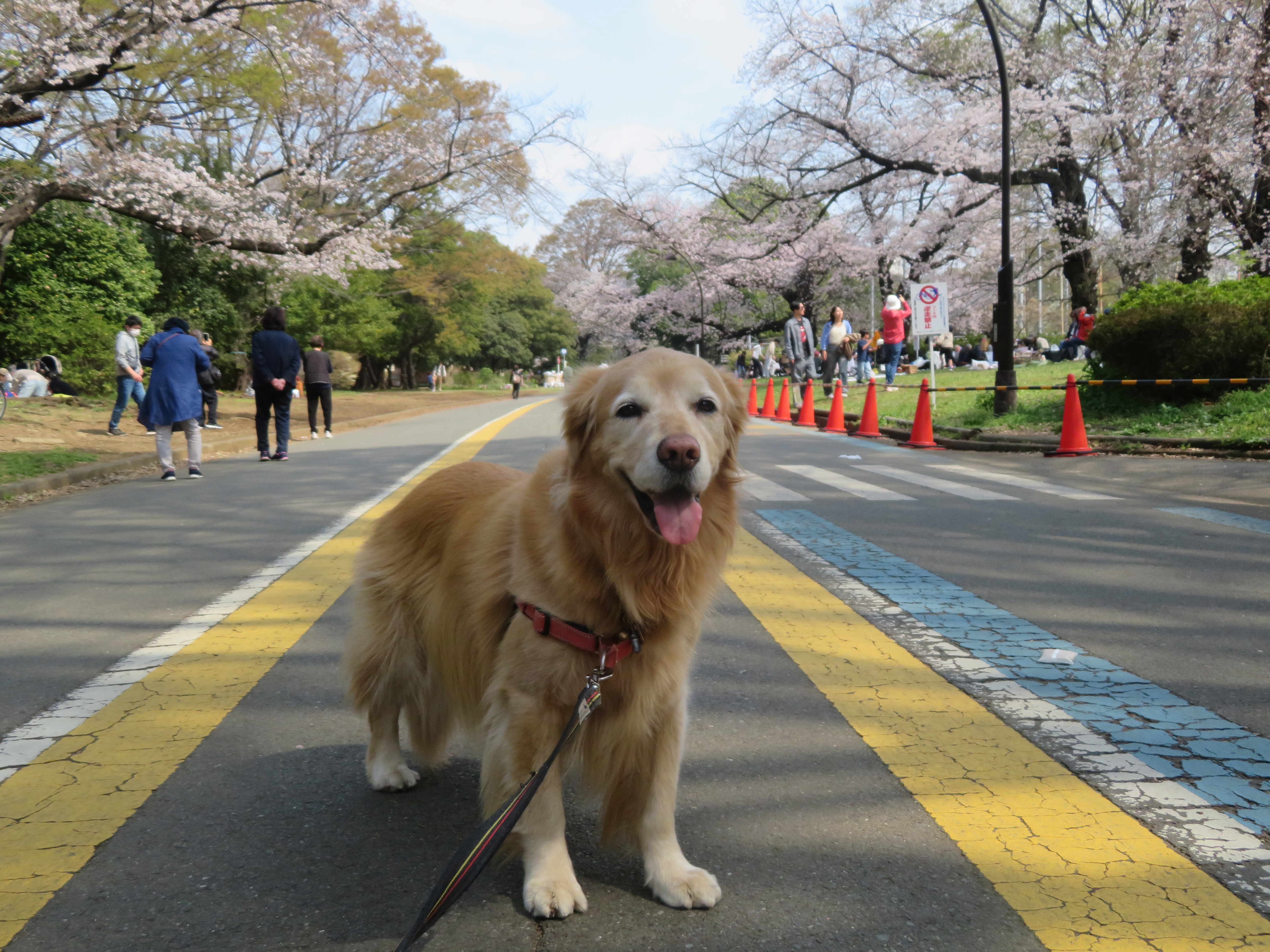 ファイル 9063-1.jpg