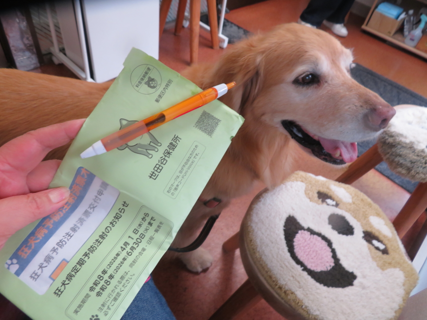 ファイル 9065-1.jpg