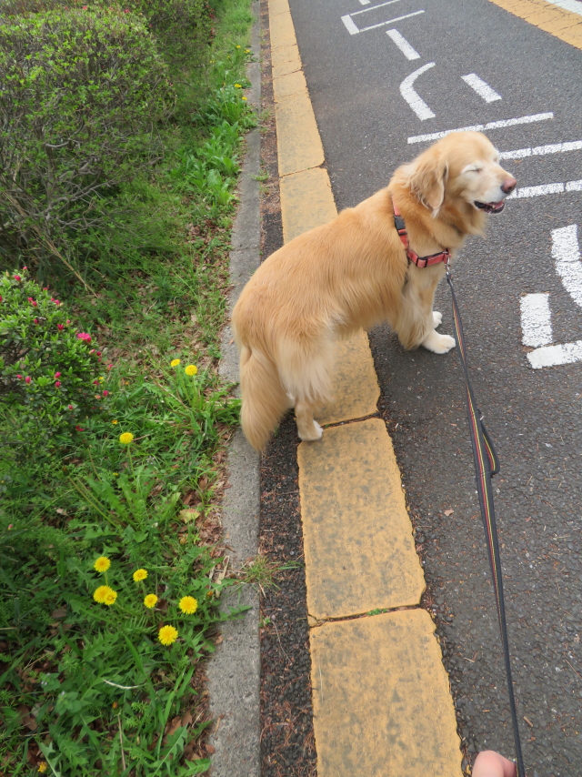 ファイル 9066-2.jpg