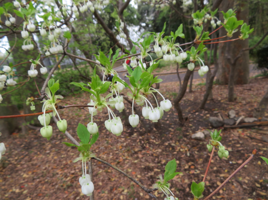 ファイル 9067-2.jpg