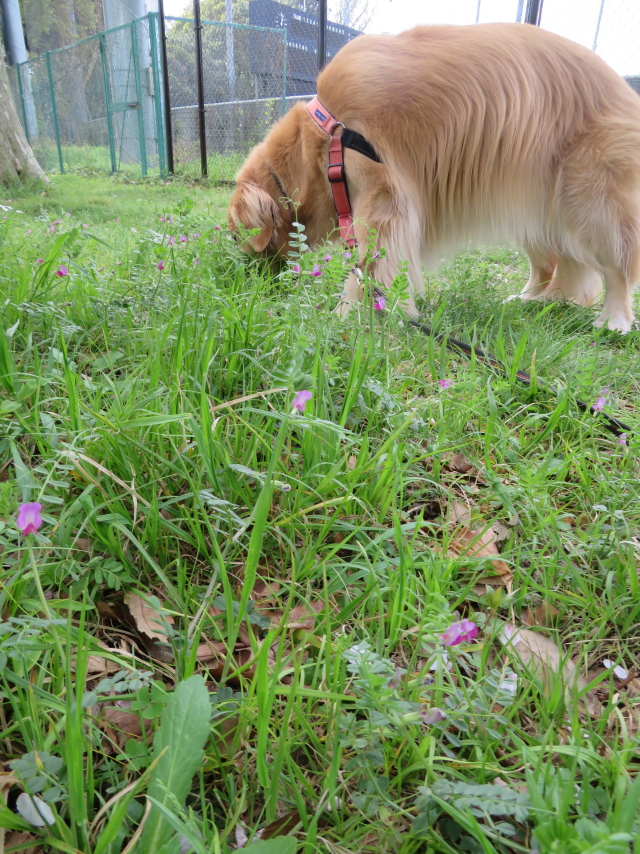 ファイル 9067-5.jpg