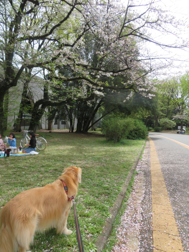 ファイル 9068-3.jpg