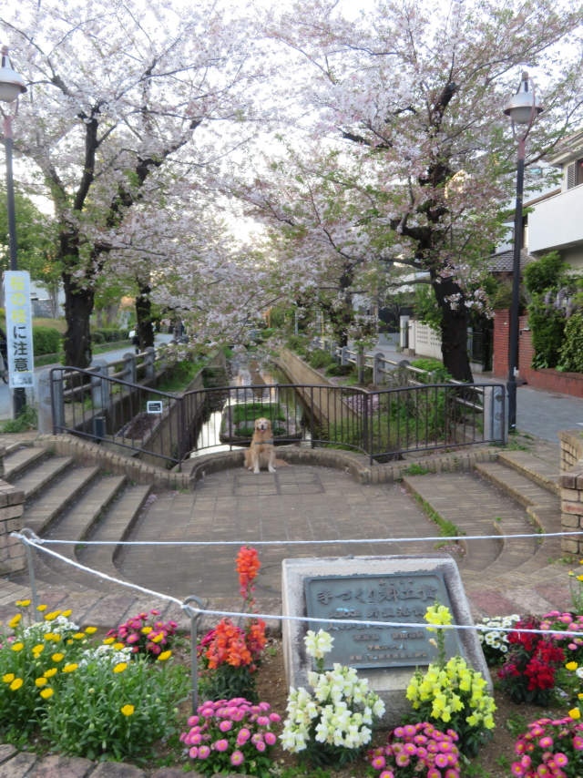 ファイル 9069-3.jpg