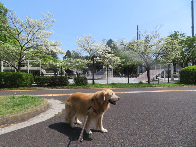 ファイル 9070-1.jpg