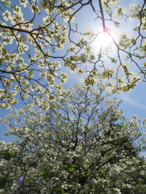 ファイル 9070-2.jpg