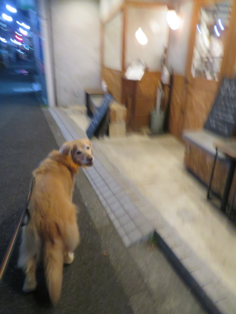 ファイル 9071-1.jpg