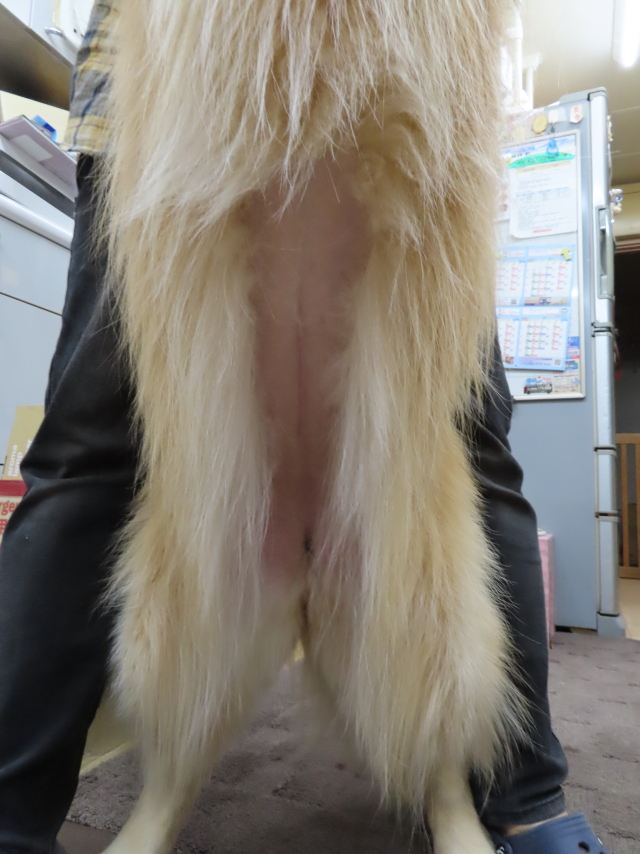 ファイル 9073-5.jpg