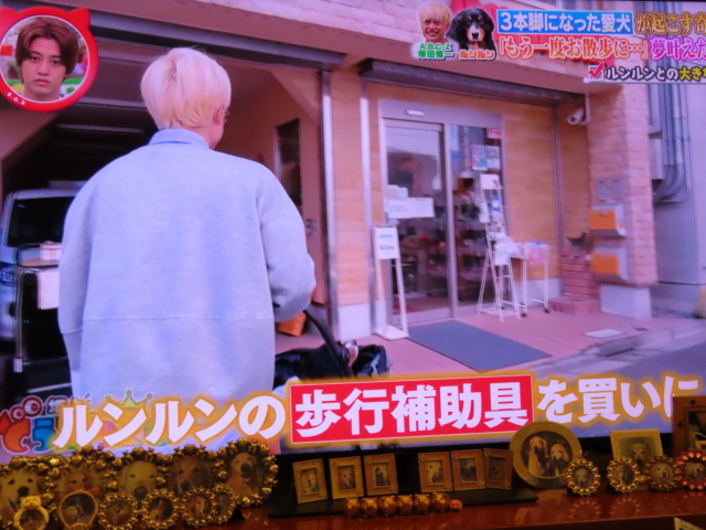 ファイル 9074-1.jpg