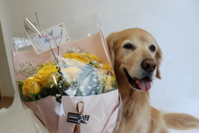 ファイル 9075-2.jpg