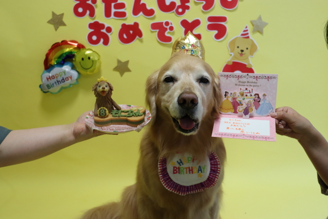 ファイル 9075-5.jpg