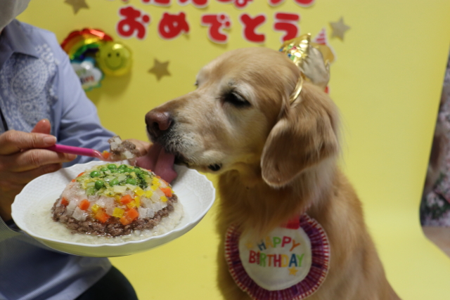 ファイル 9076-3.jpg