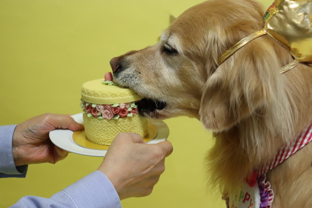 ファイル 9076-4.jpg