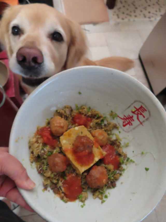 ファイル 9077-3.jpg