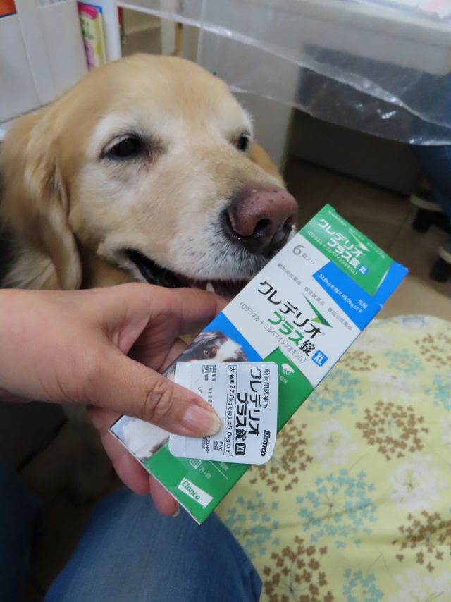 ファイル 9077-5.jpg