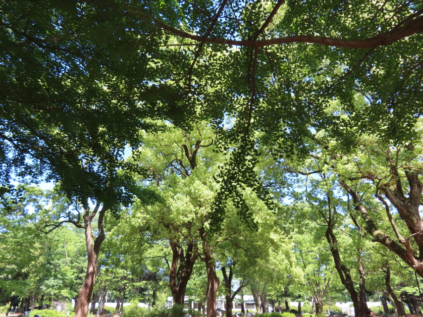 ファイル 9085-2.jpg