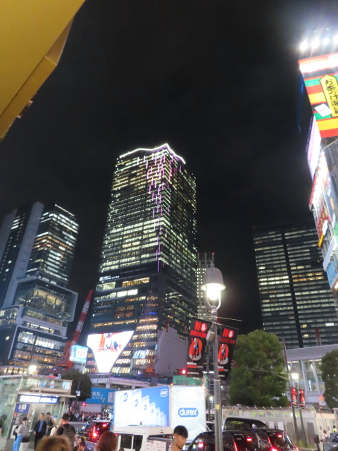 ファイル 9139-5.jpg